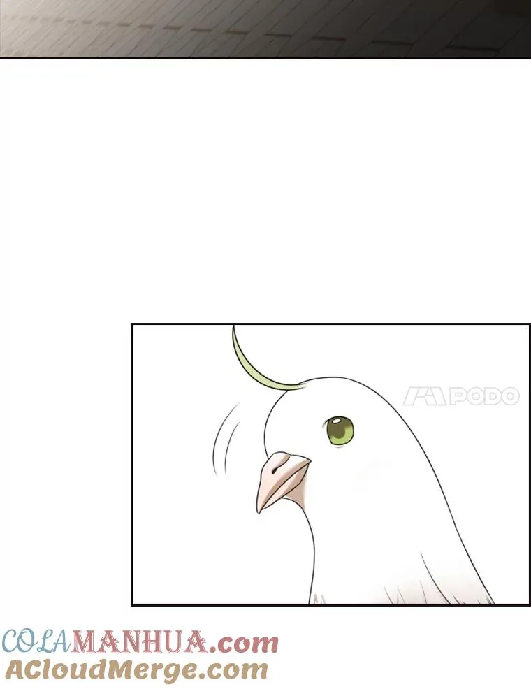 14.会说话的鸽子（1） 第81页