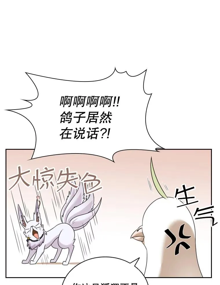 14.会说话的鸽子（1） 第82页