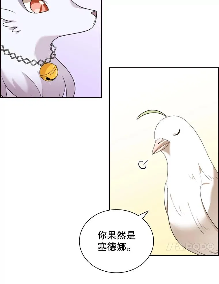 14.会说话的鸽子（1） 第84页