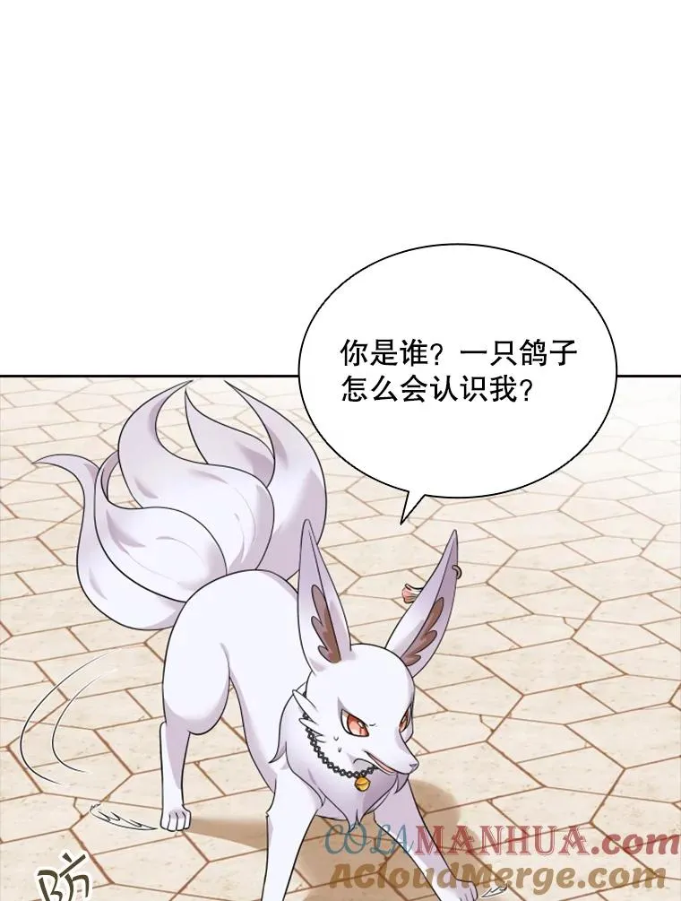 14.会说话的鸽子（1） 第85页
