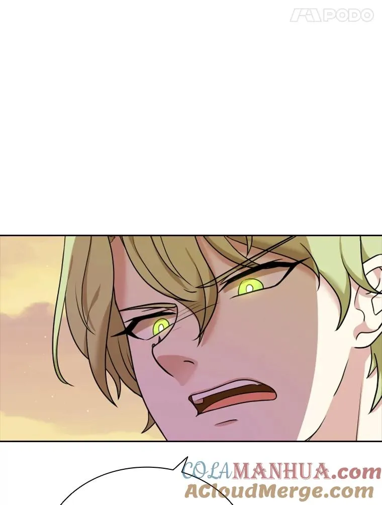 14.会说话的鸽子（1） 第101页