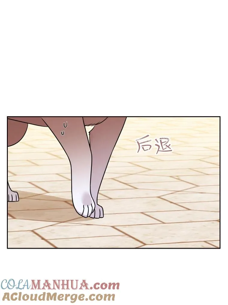14.会说话的鸽子（1） 第105页