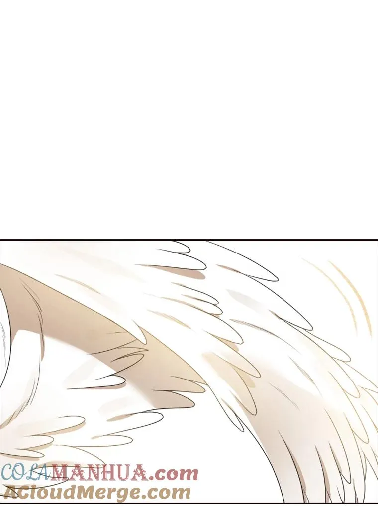 14.会说话的鸽子（1） 第109页