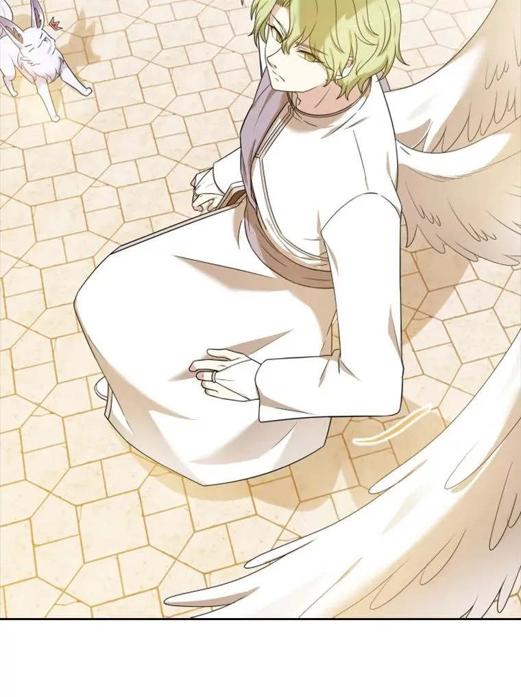 14.会说话的鸽子（1） 第111页