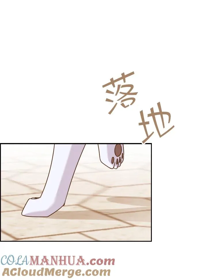 15.会说话的鸽子（2） 第13页