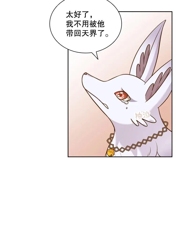 15.会说话的鸽子（2） 第114页
