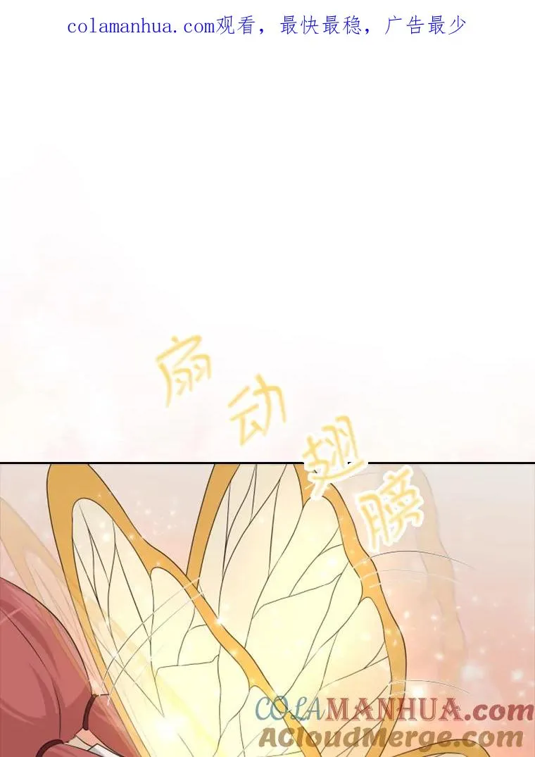 19.果实（1） 第1页