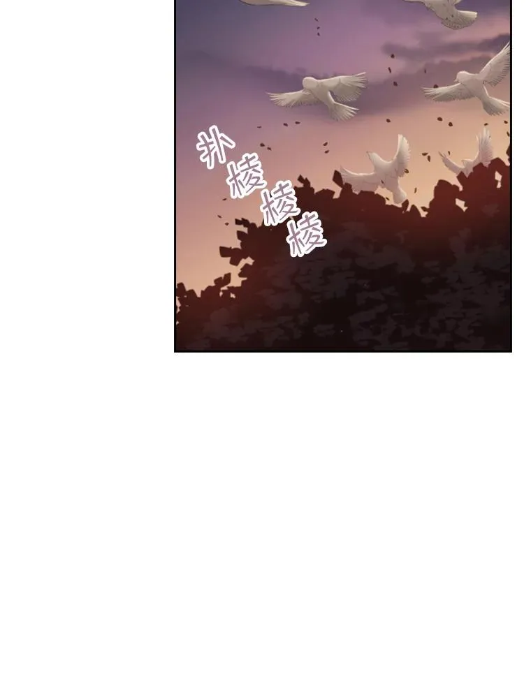 19.果实（1） 第16页