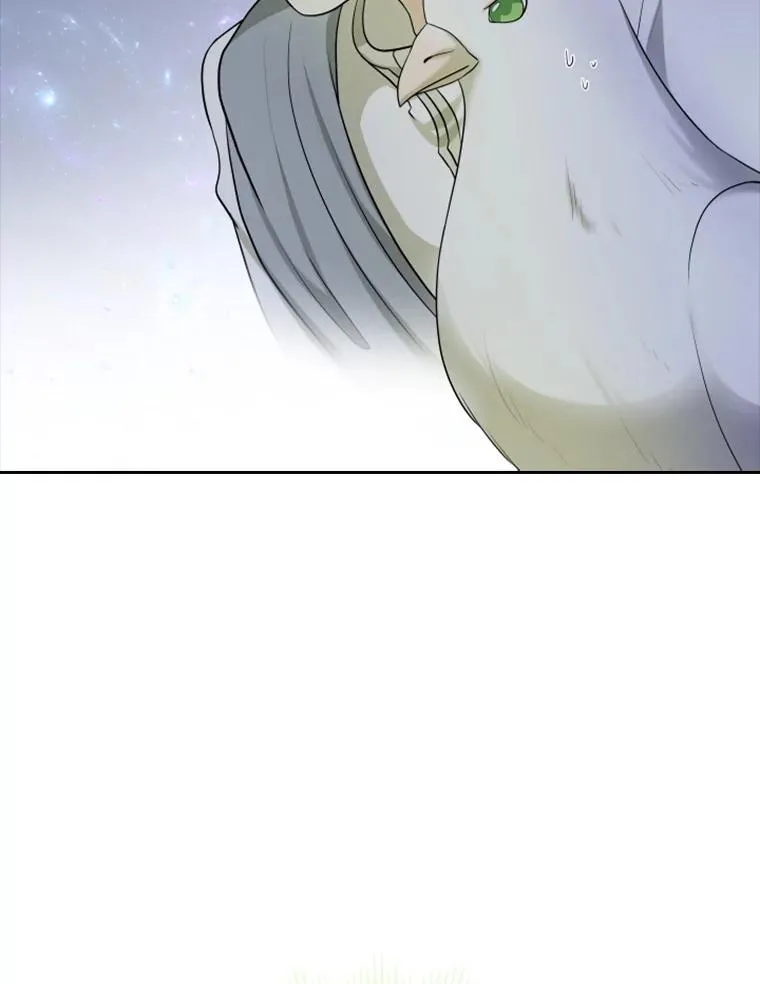 19.果实（1） 第23页