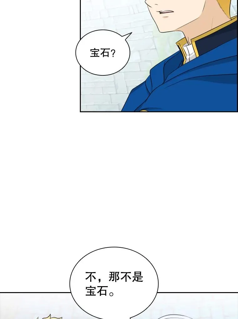 19.果实（1） 第98页