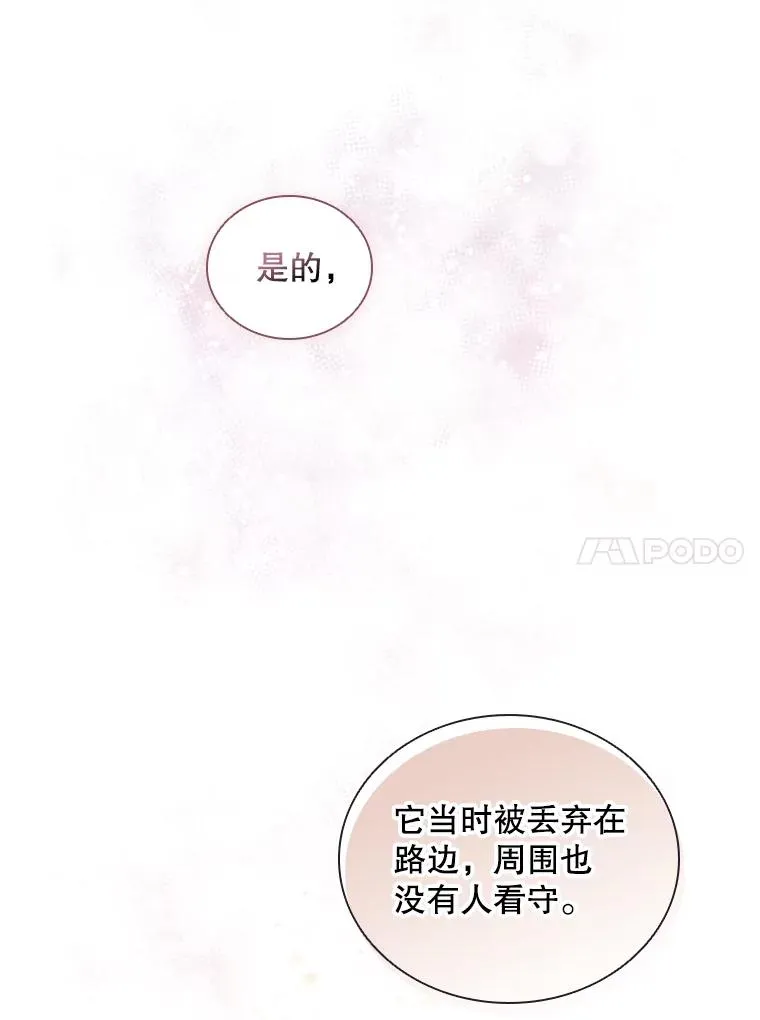 19.果实（1） 第103页