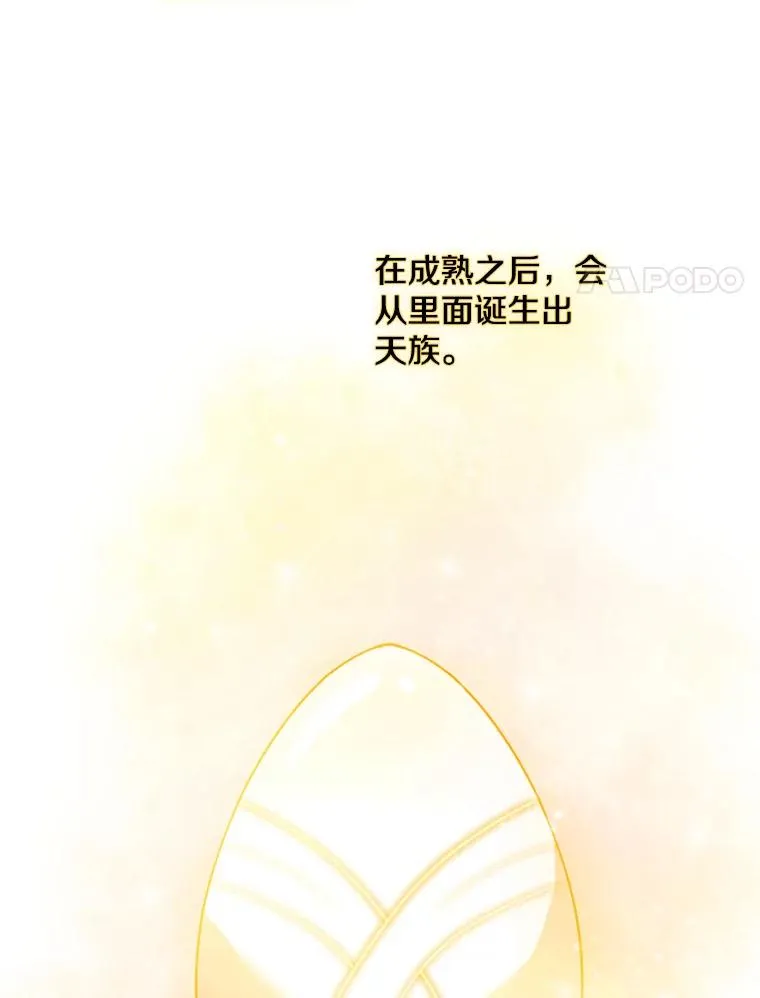 20.果实（2） 第8页