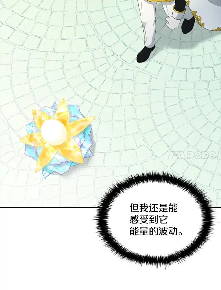 20.果实（2） 第11页