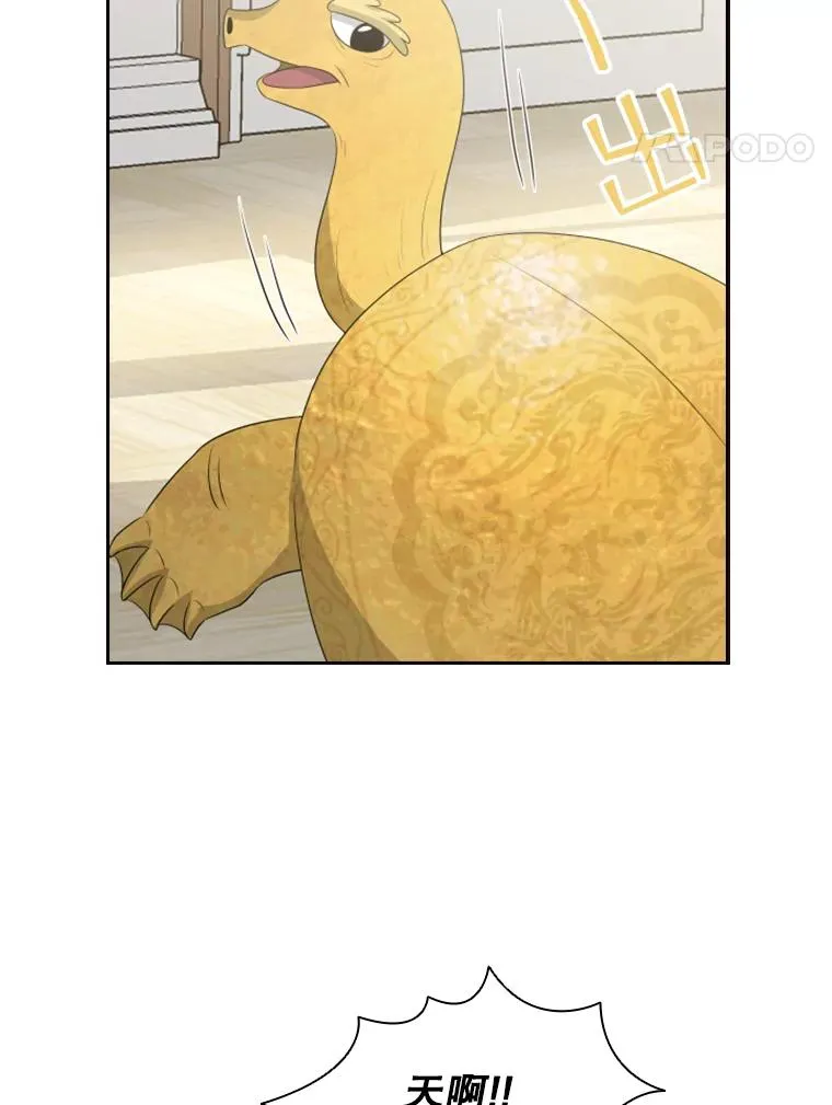 28.金鳌（2） 第38页