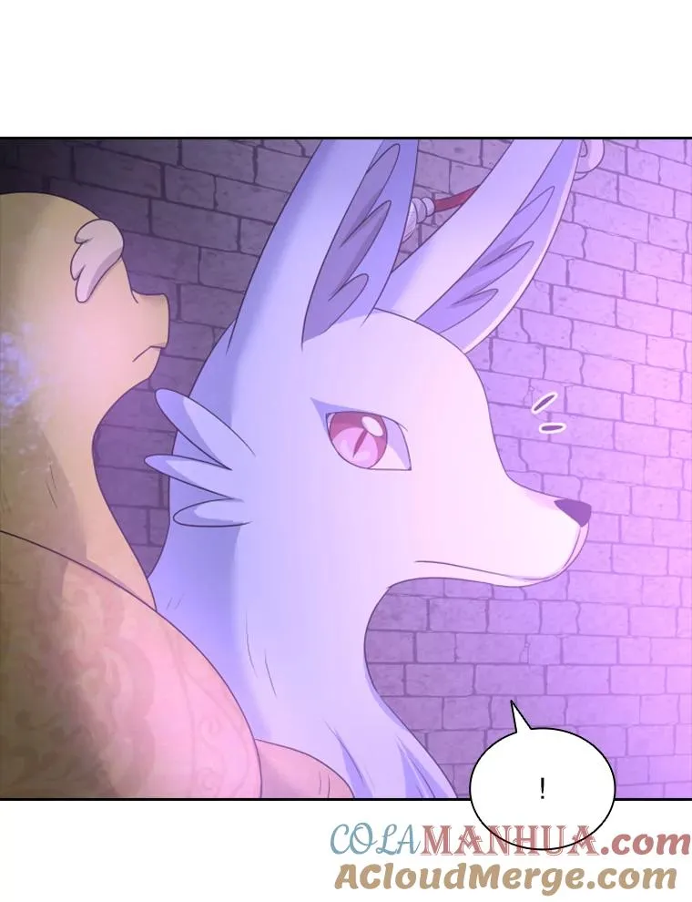 30.寻找遗产（2） 第21页