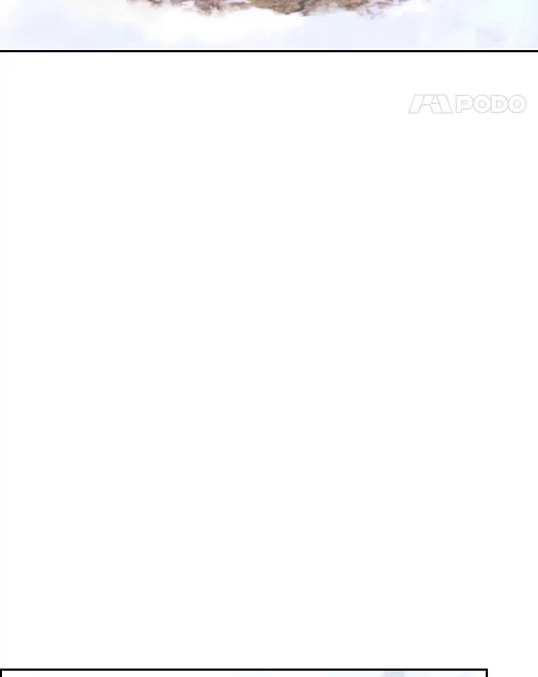 44.沉睡之林（1） 第38页