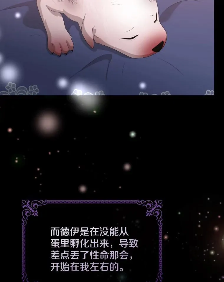 47.莱依受伤了 第114页