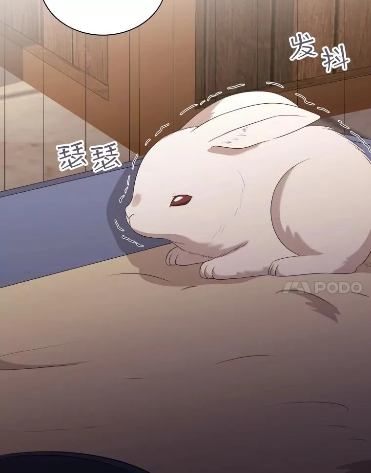 66.享受庆典 第28页