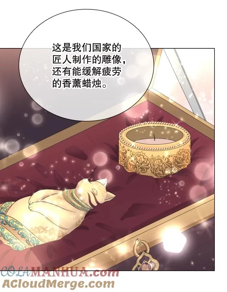 73.不是人类的使者 第29页