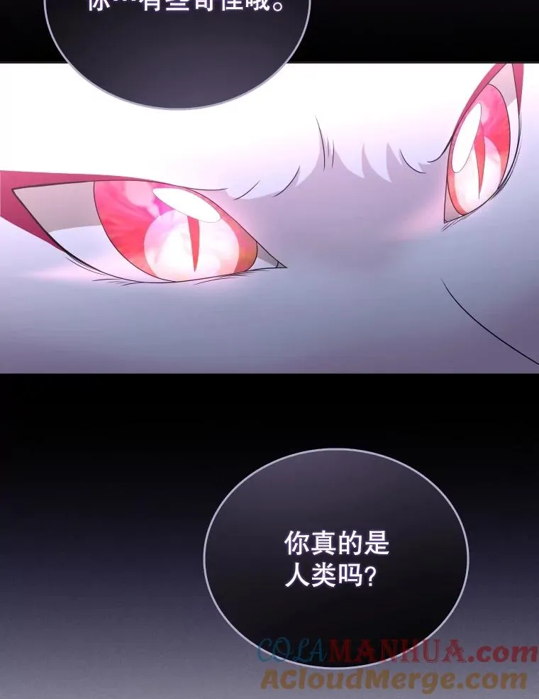 73.不是人类的使者 第109页