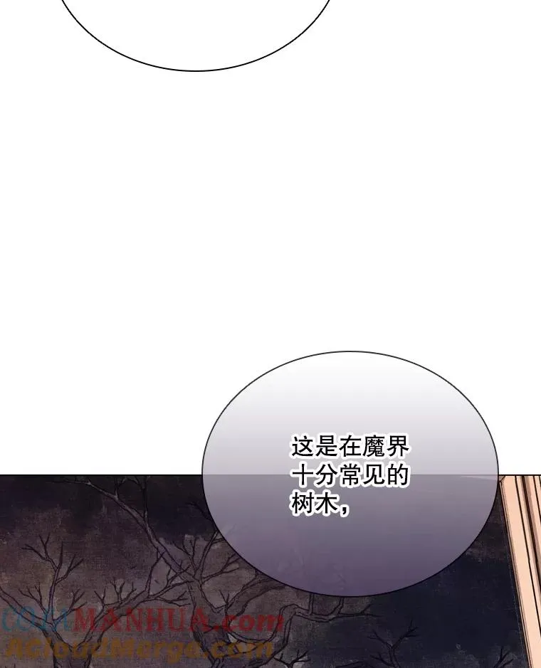 79.失踪事件 第65页