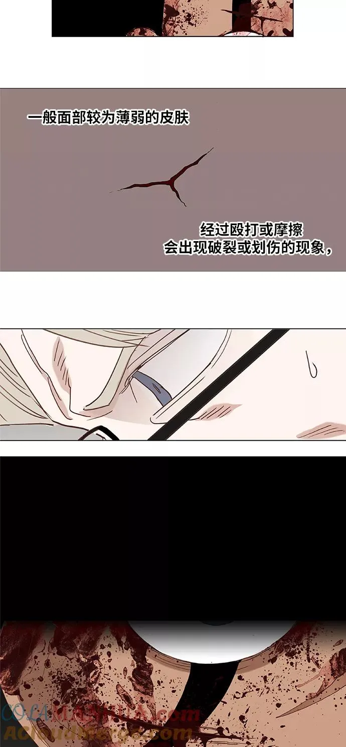第15话 首战 第43页