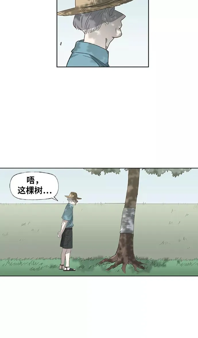 第35话 岩石攻略（2） 第50页