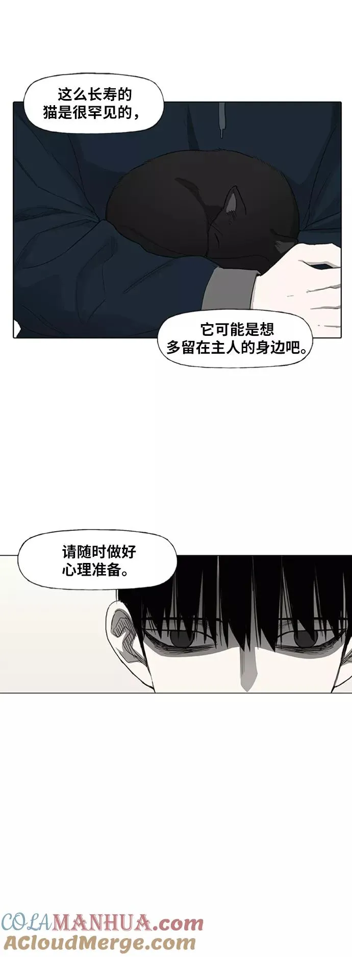 第80话 暴风前夕 第37页