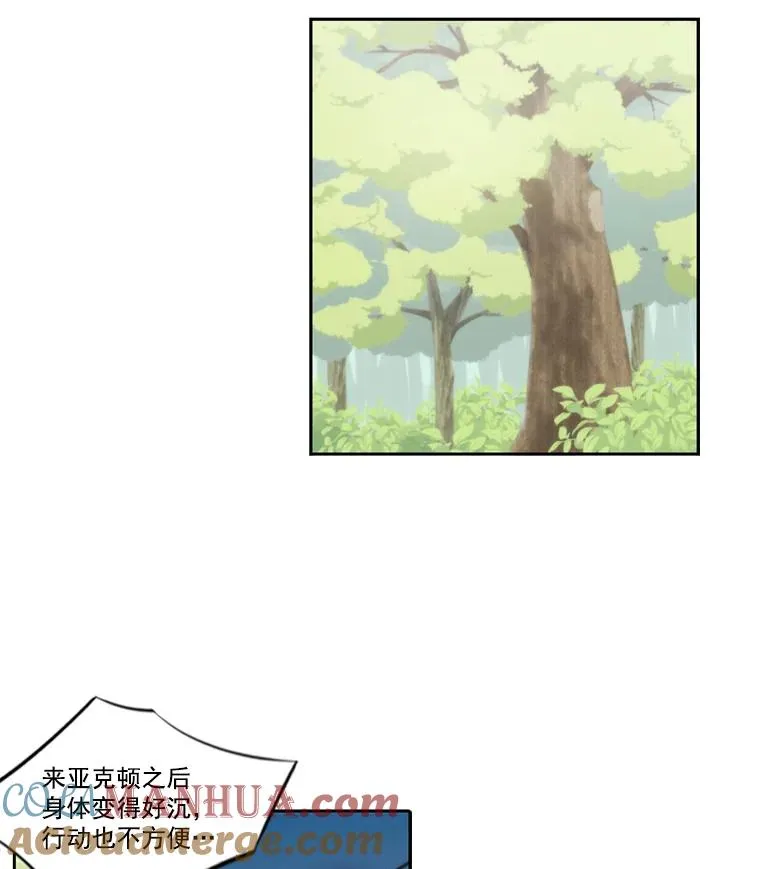 11.召唤魔法阵 第22页