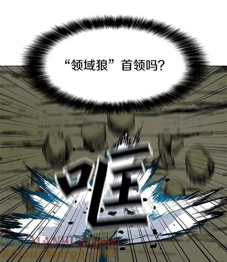 11.领域巨狼 第5页