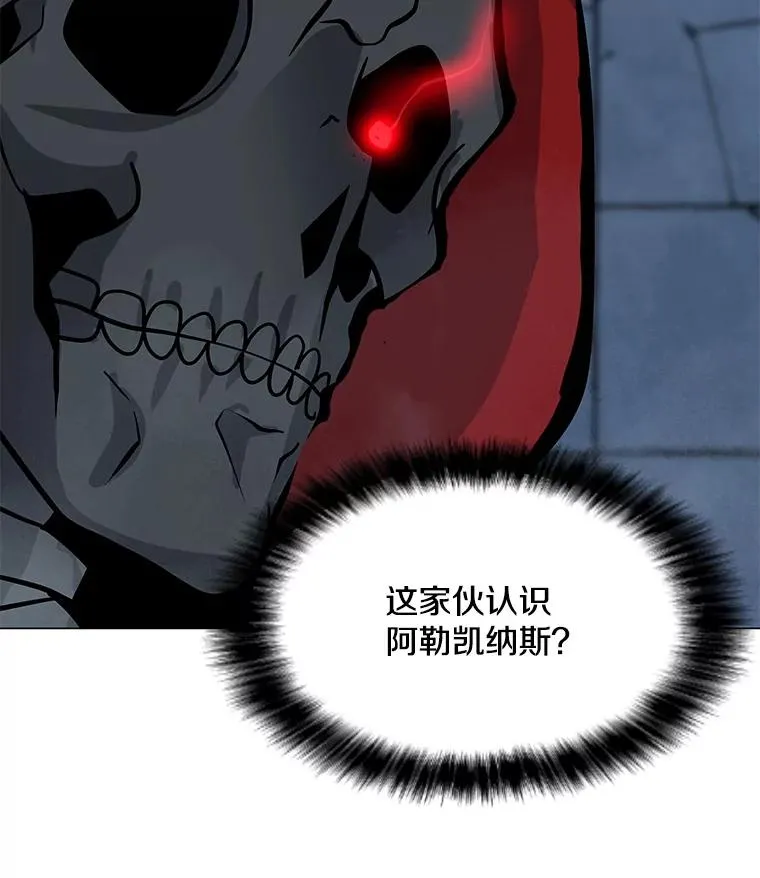 48.骷髅德鲁克 第47页