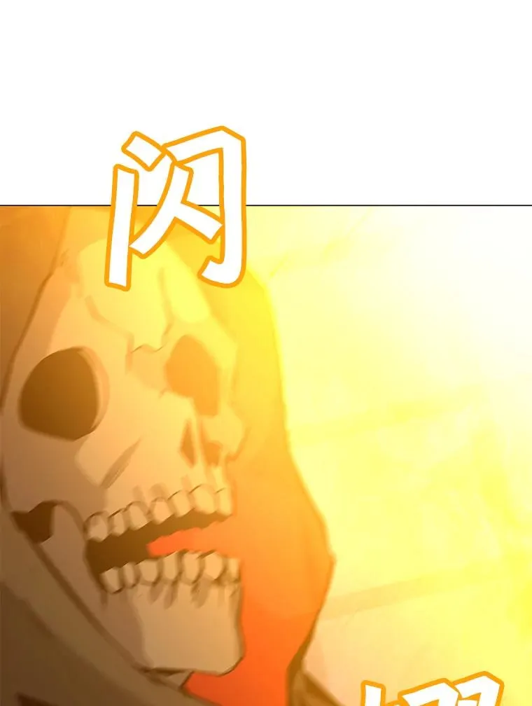 48.骷髅德鲁克 第114页