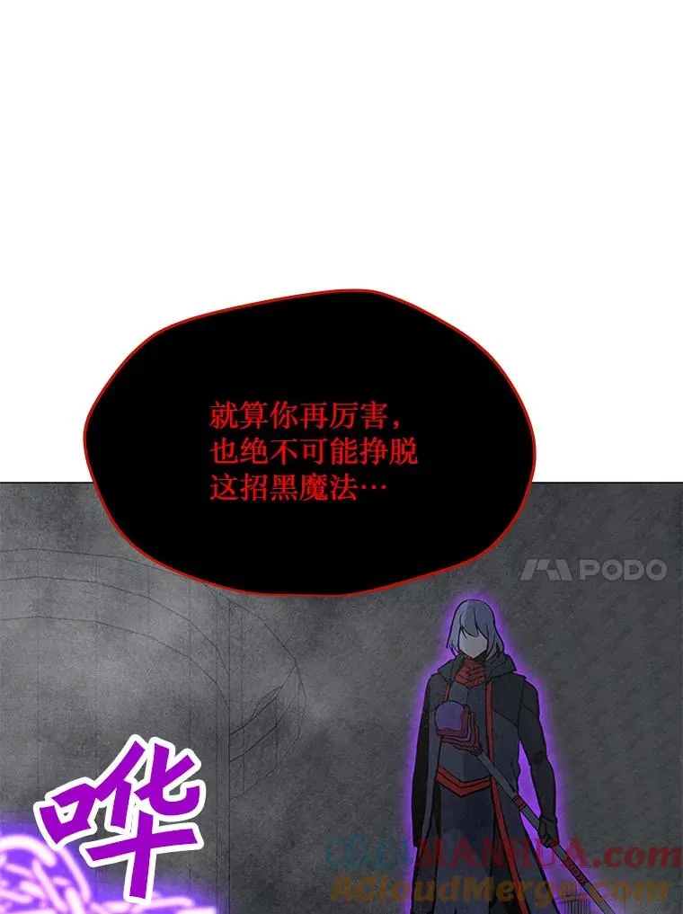 98.兵分两路 第117页