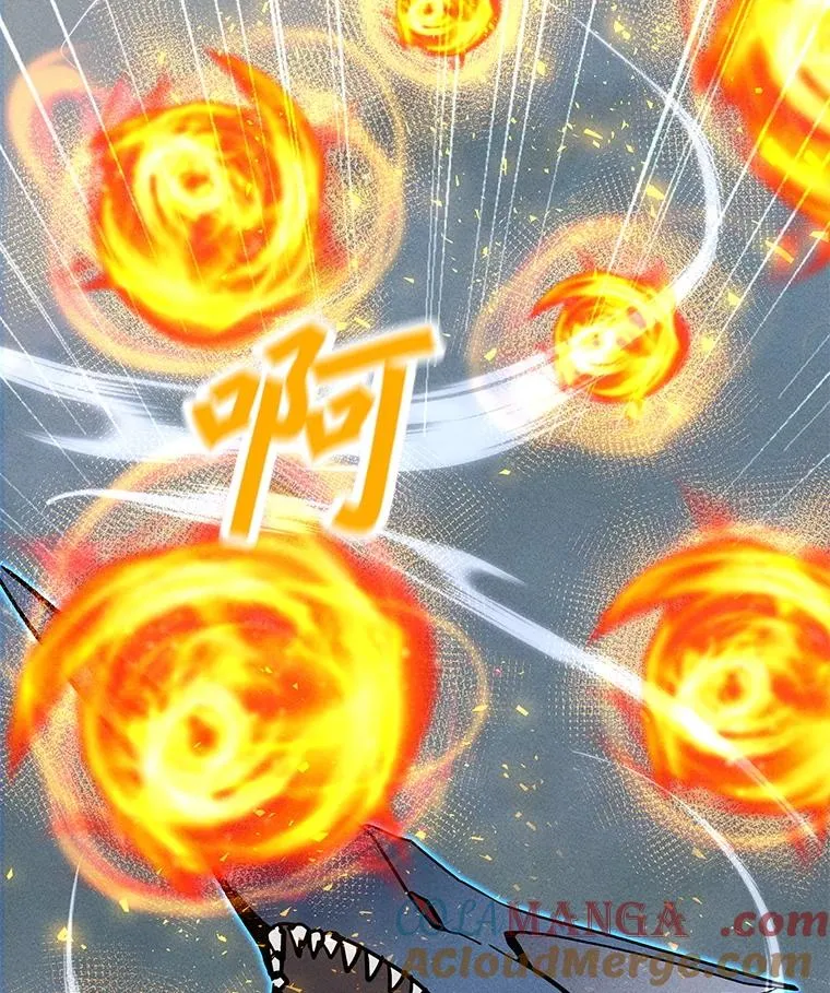 194.海伊兹遭埋伏 第29页