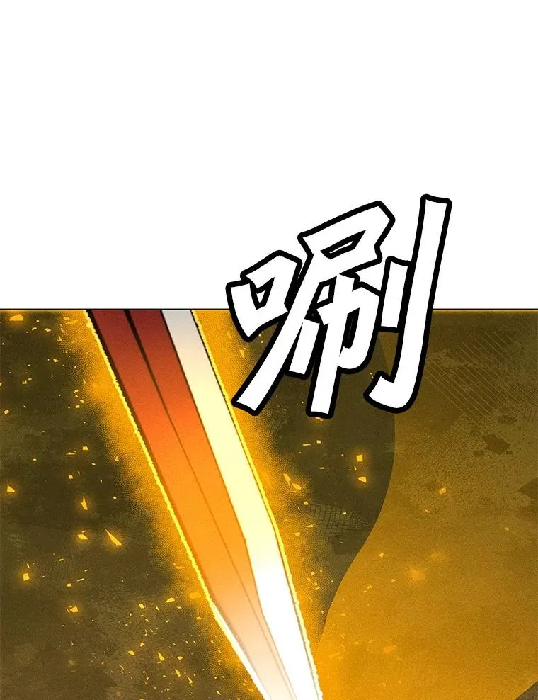 197.用剑的魔法师 第166页