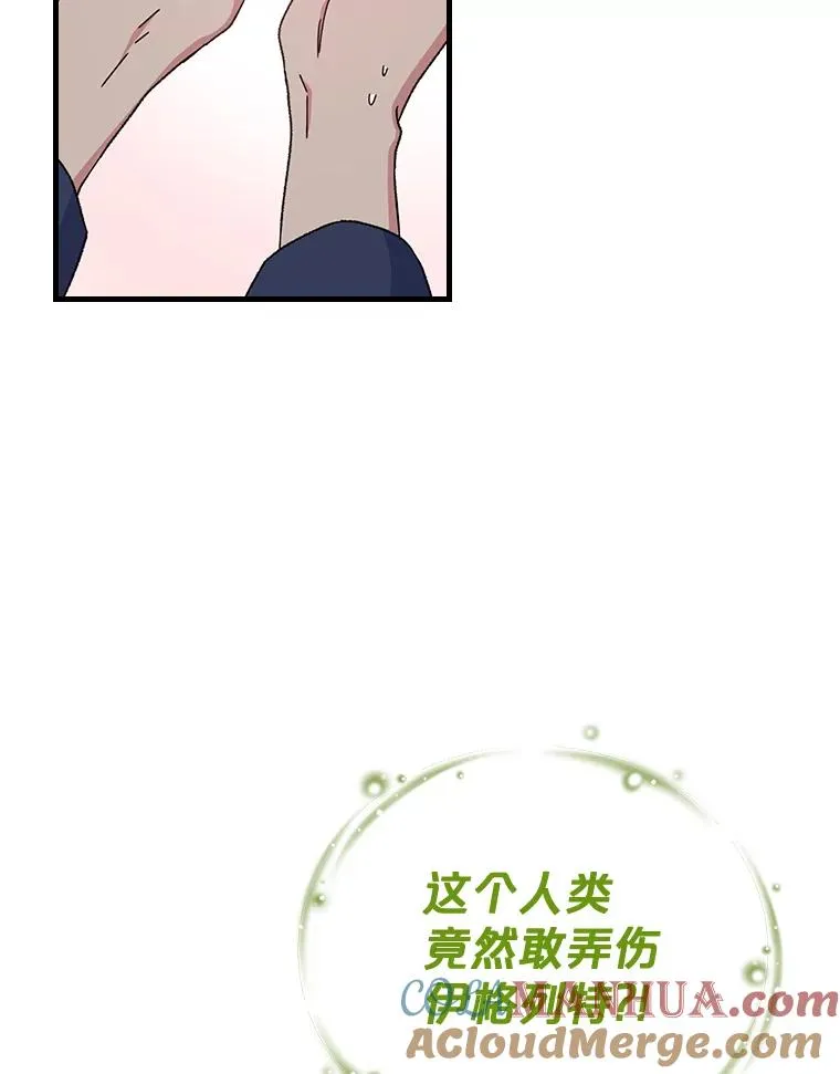 4.伊桑·赫伊伽 第10页
