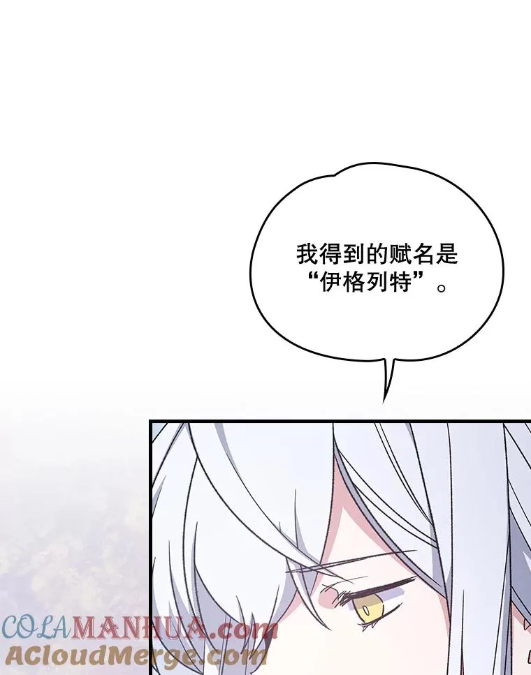 12.赋名仪式 第70页