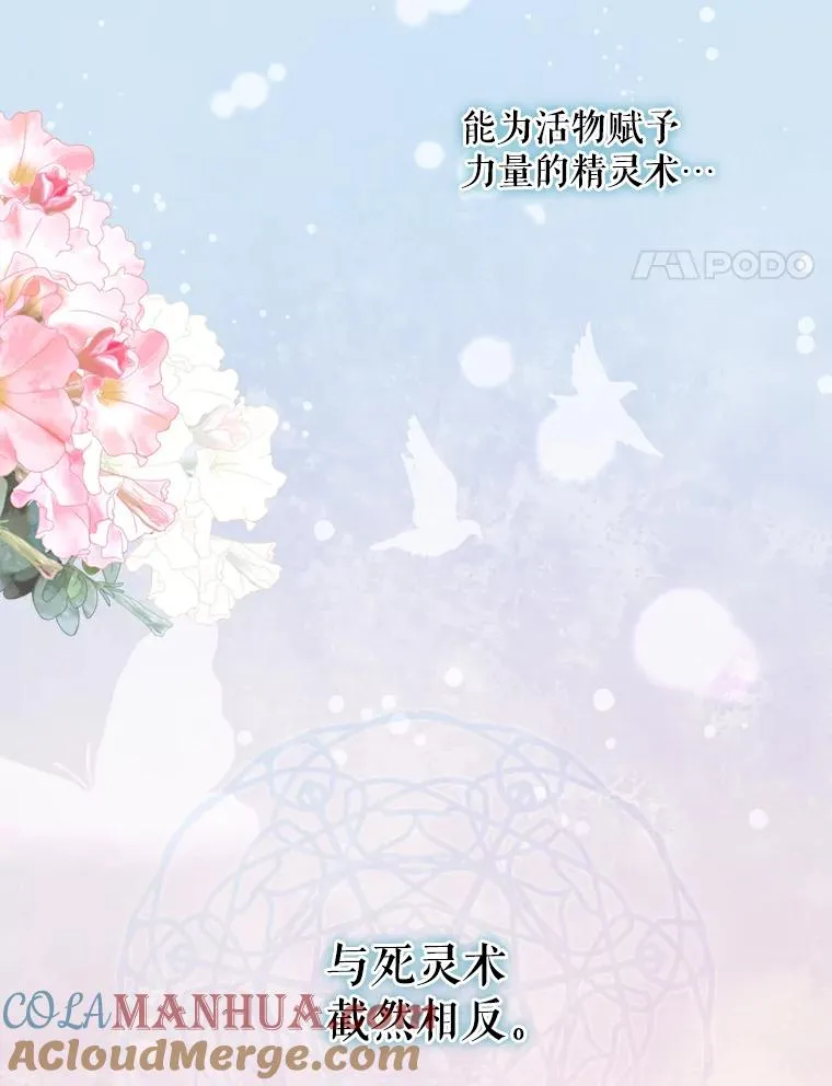 16.死灵术 第4页