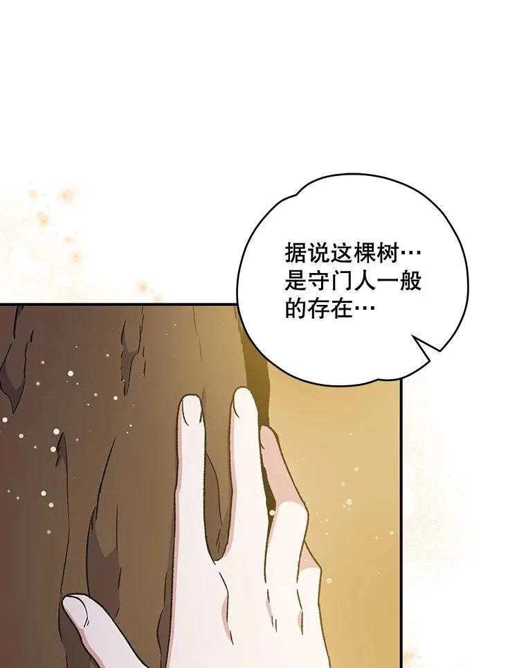 26.精灵学课程 第8页