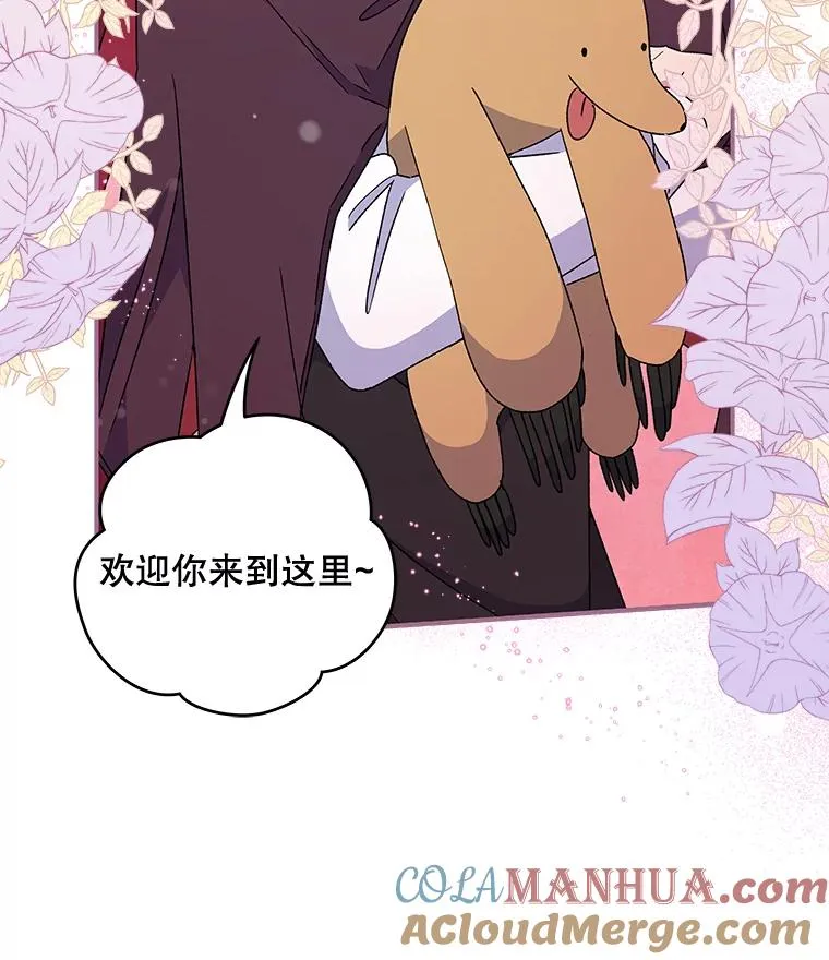 26.精灵学课程 第25页