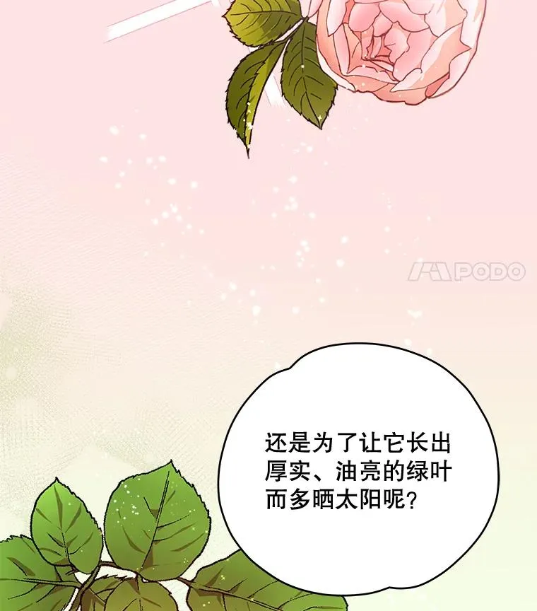 27.阿贝尔 第67页