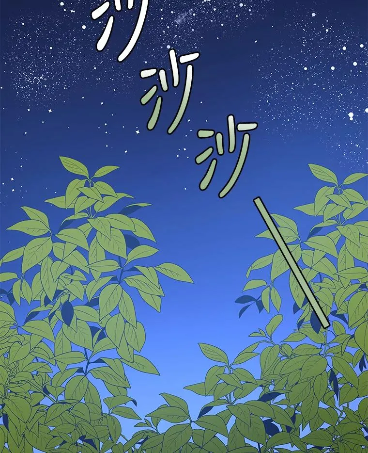 28.马尔绅·哈什 第2页