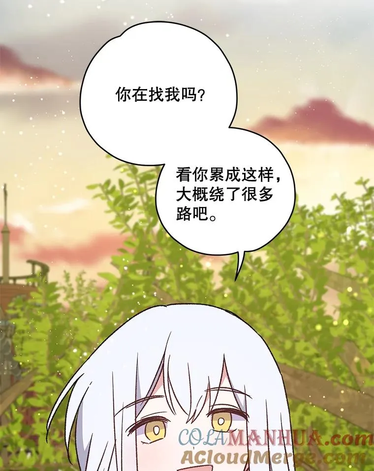 29.精灵契约 第41页