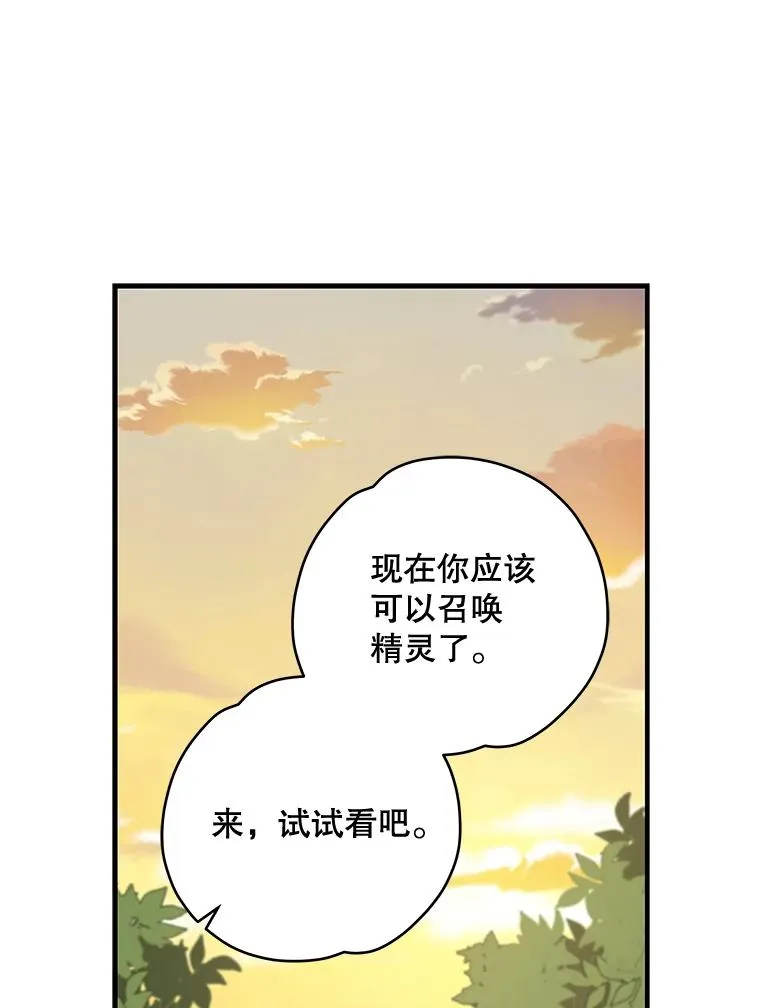 29.精灵契约 第99页