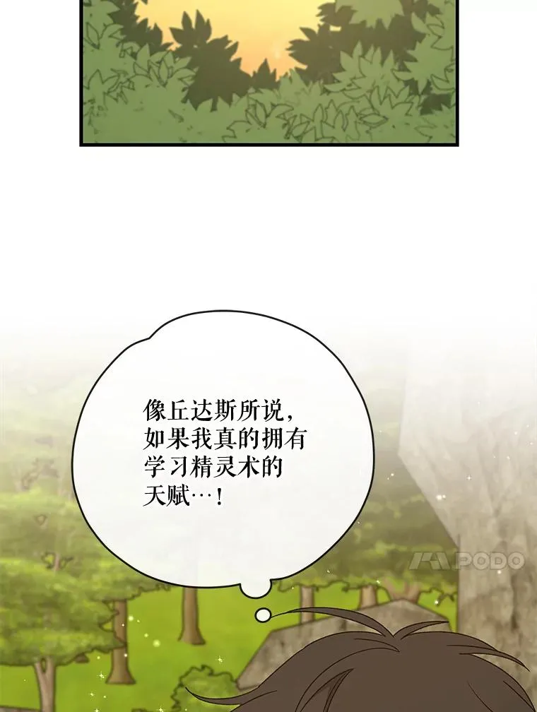 29.精灵契约 第100页