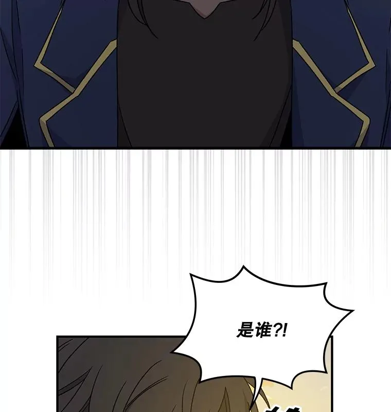 29.精灵契约 第106页