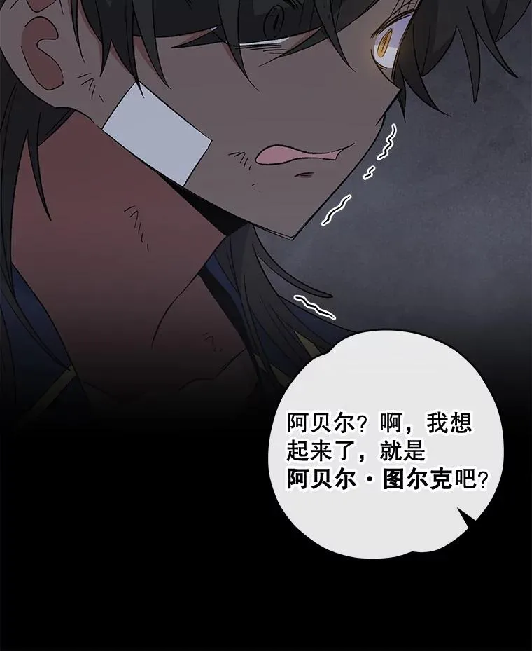 31.阿贝尔暴走 第16页