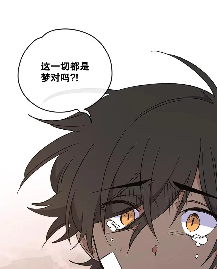 31.阿贝尔暴走 第86页