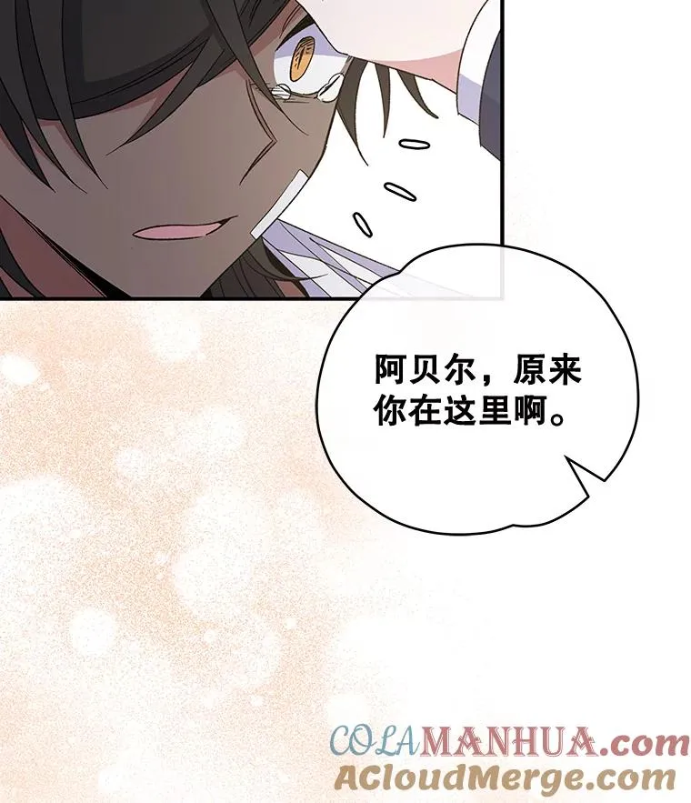35.阿贝尔的处分 第73页