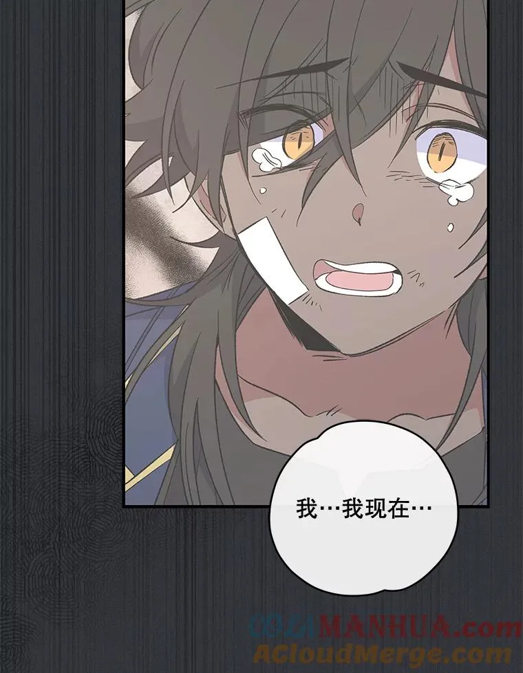 35.阿贝尔的处分 第97页